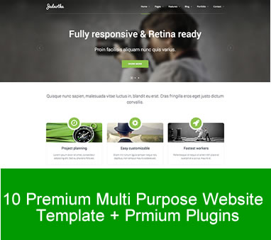 Premium Website Design Template  WP
